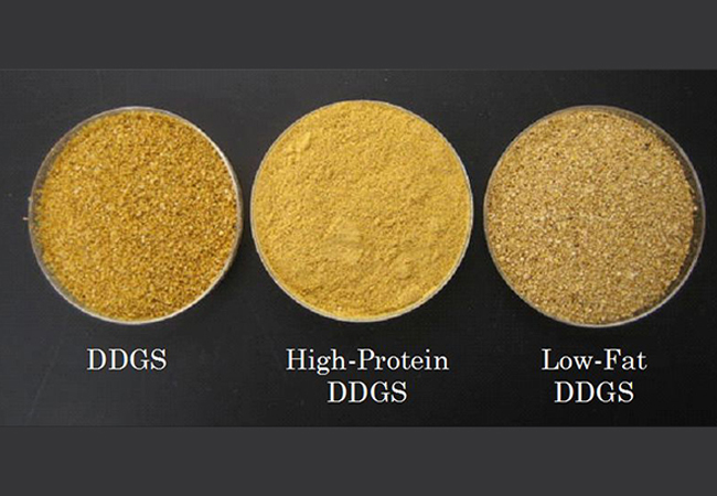 Distillers Dried Grains with Solubles
