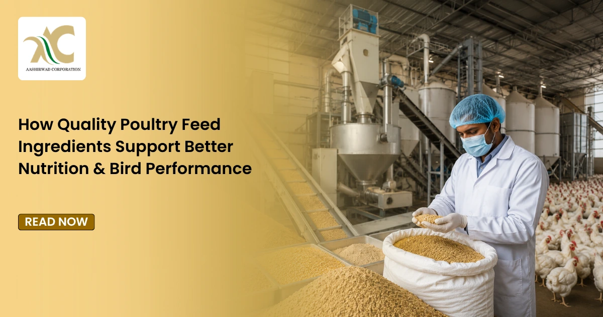 How Quality Poultry Feed Ingredients Support Better Nutrition & Bird Performance