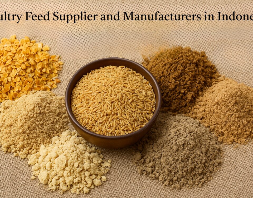 Poultry Feed Supplier and Manufacturers in Indonesia