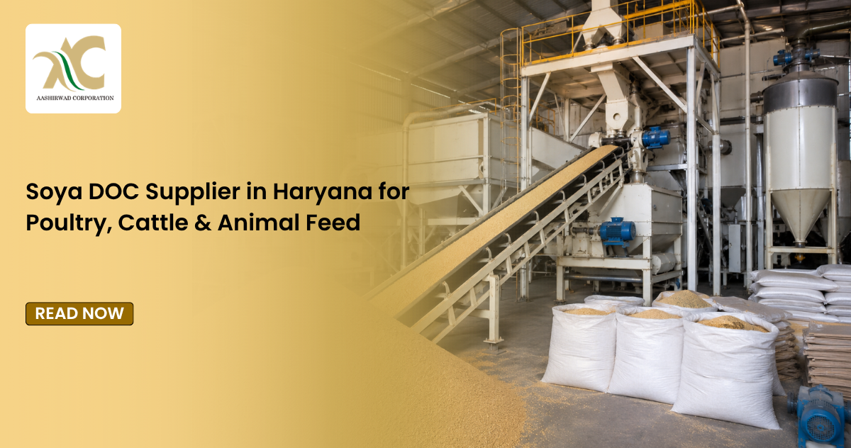 Soya DOC Supplier in Haryana for Poultry, Cattle & Animal Feed