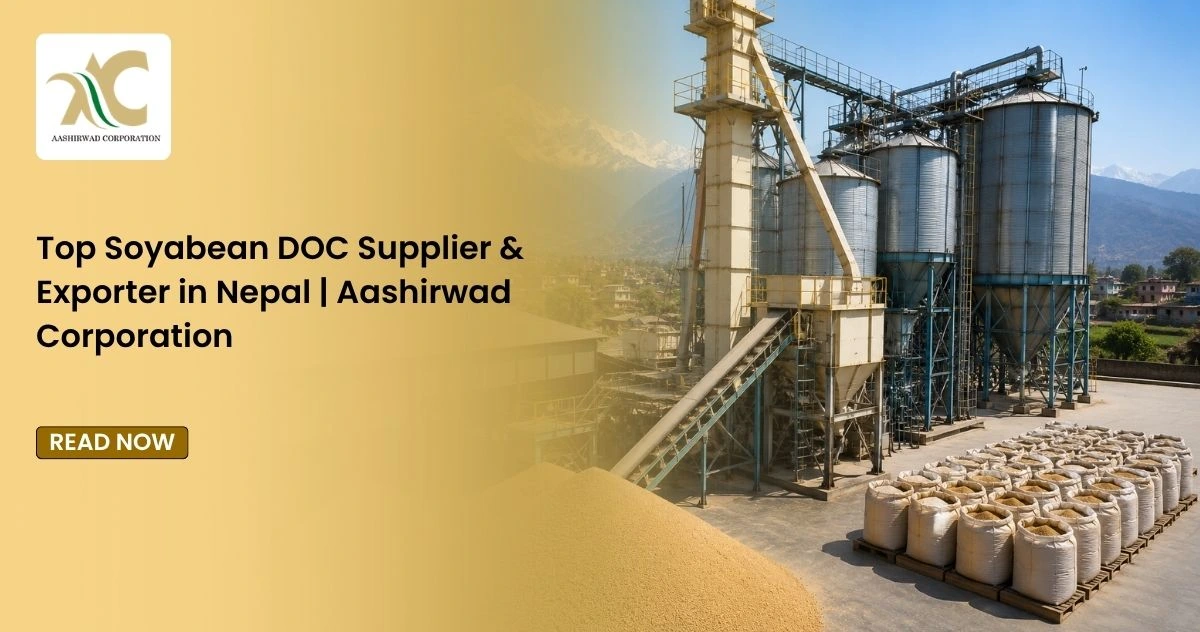 Top Soyabean DOC Supplier & Exporter in Nepal | Aashirwad Corporation