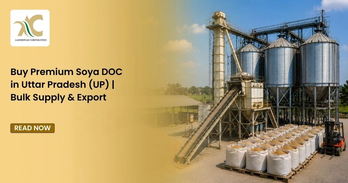 Buy Premium Soya DOC in Uttar Pradesh (UP) | Bulk Supply & Export