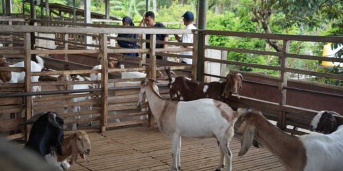 DSC00705_2 DSC00705_2