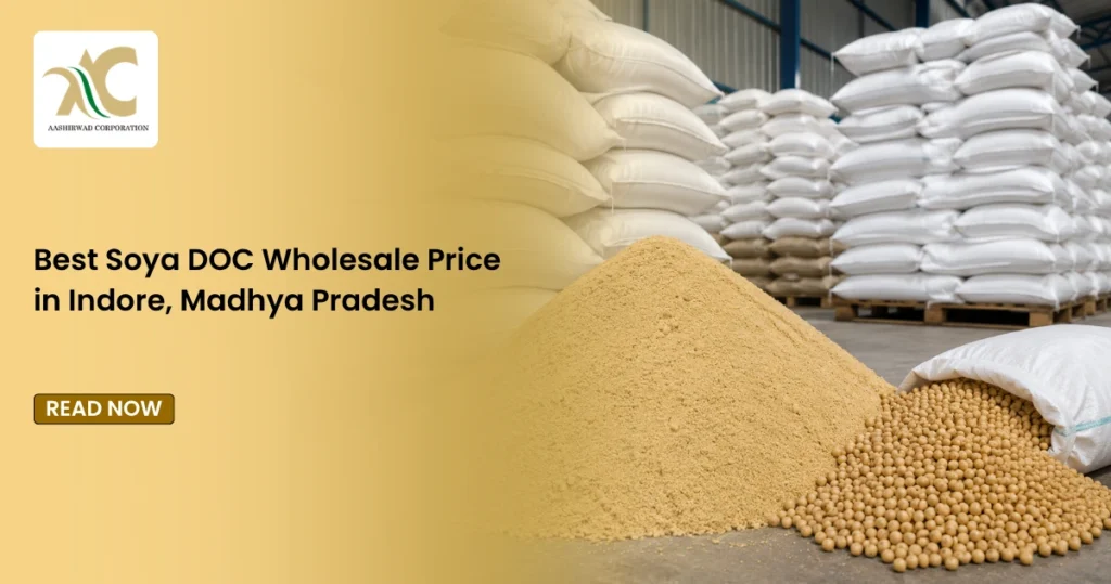Best Soya DOC Wholesale Price in Indore, Madhya Pradesh
