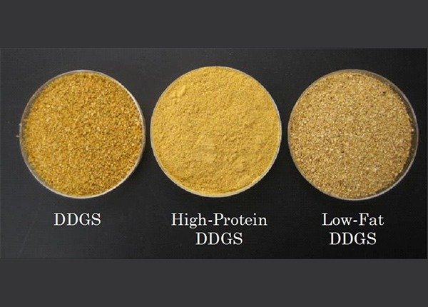 Comparison of DDGS, High-Protein DDGS, and Low-Fat DDGS