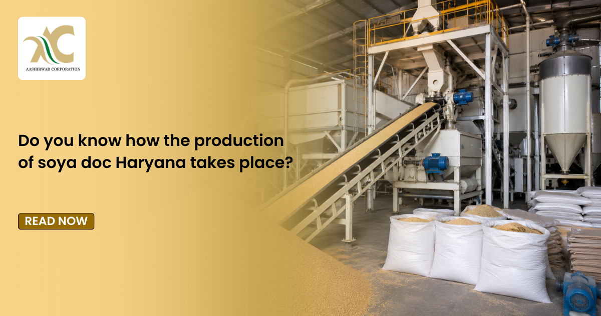 do you know how the production of soya doc haryana takes place