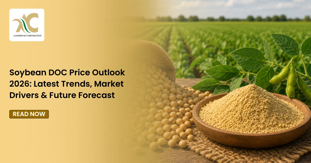 Soybean DOC Price Outlook 2026: Latest Trends, Market Drivers & Future Forecast