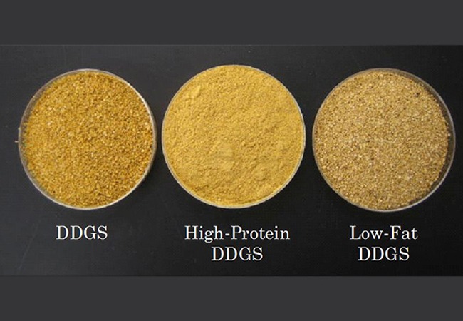 DDGS, High-Protein DDGS, and Low-Fat DDGS product comparison Aashirwad Corporation