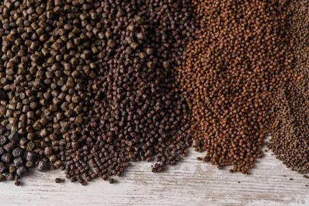 Aqua feed for fish and shrimp farming, bulk supplier and exporter in India