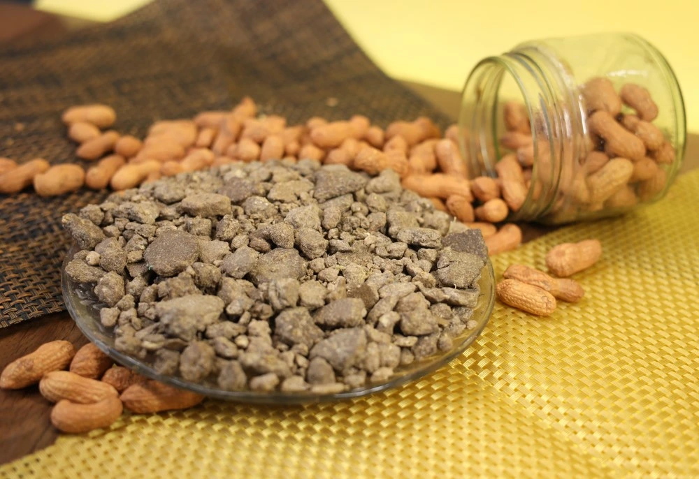Groundnut DOC sample with up to 50 percent protein for animal feed