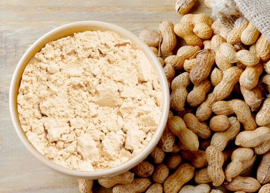 Groundnut meal powder in a bowl with whole peanuts, bulk supplier and exporter in India
