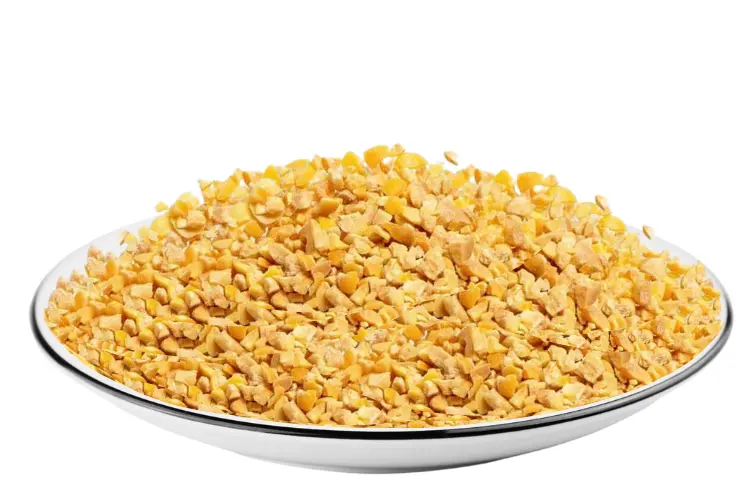 Close-up of soya grit sample with 46–48% protein